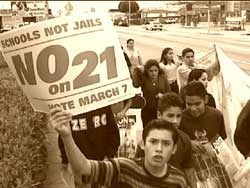 The New Youth Movement
